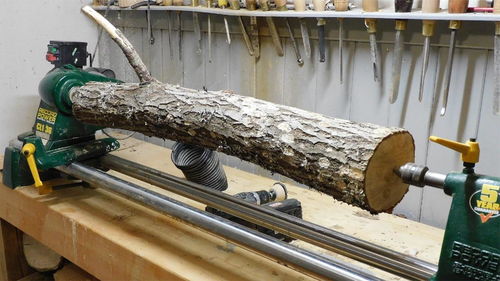 匠心獨(dú)運(yùn) 一根廢棄木頭的華麗蛻變